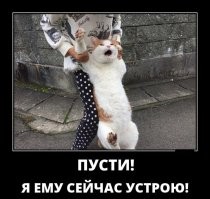 Скрины из соцсетей&nbsp;