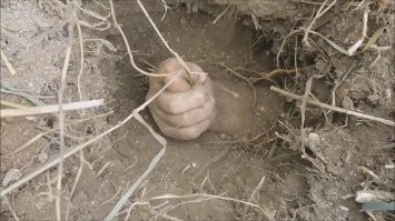 Так , я не понял ....  Качиньского уже больше откапывать не будут ?