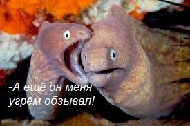 Не ищите здесь смысл. Здесь в основном маразм