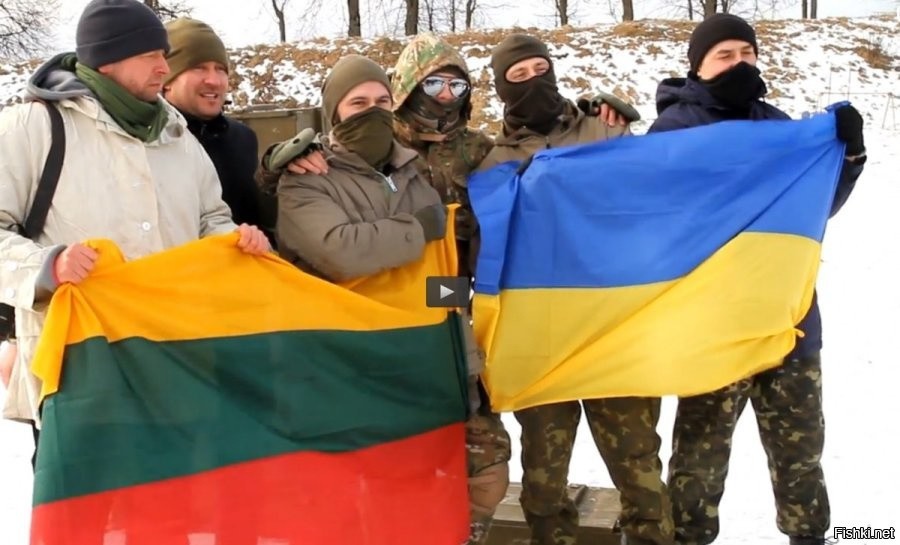 Литовские военные на Украине. Литовские инструктора Украина. Литовские добровольцы на Украине. Украинская армия Литовские инструкторы.