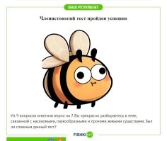 Такая же фигня