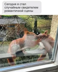 Только за эту фотографию плюс всему посту ))