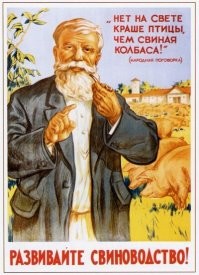 В каждом супермаркете стоит аквариум с живыми карпами. А в больших там и другой озёрной рыбы навалом. Особенно перед рождеством. У католИков пост, они всю эту рыбу тоннами выкупают. Вообще, покупать карпа - занятие неблагодарное. Выпотрошил, бошку отрубил, остаётся - коту перекусить.