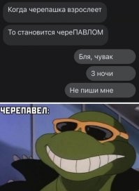 19 интересных фактов о культовом мультсериале нашего детства "Черепашки ниндзя"