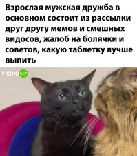 Абсолютная чушь. Автор, мне тебя жаль, с такими представлениями.