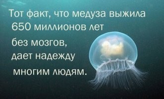 Это как раз означает, что Вы думаете, а тут, видимо вот так...