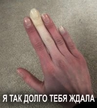 40 любопытных снимков обо всём