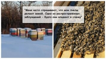 Жу-жу-жу, блин!!!