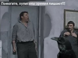 "Крик ярости": ветеринары и очень сложный пациент