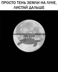 Шах и мат.