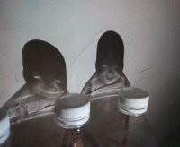 Так вот они откуда