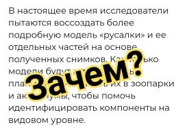 Ученые просканировали мумию японской «русалочки»