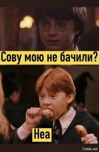 Семья заметила на своей новогодней ёлке сову