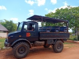 Довелось покататься на таком. По ощущениям - "шишига"...