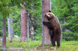 Так значит инстаграм не виноват, всё дело в природе .