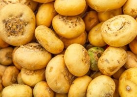 Мне казалось, что похоже на Чуковского. А оно виш как получилося то... только как это похоже на этих реп, всё равно не пойму...