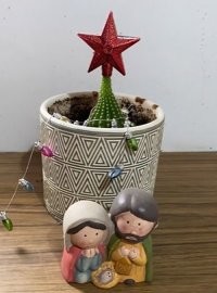 Не знал, что Иисус родился ёжиком