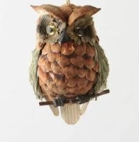 Это ещё уточнять нужно. Но, скорее всего, совогинез происходит примерно так: