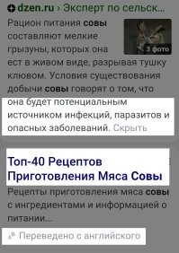 Семья заметила на своей новогодней ёлке сову