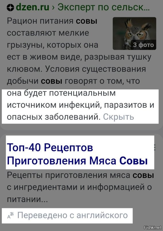 Семья заметила на своей новогодней ёлке сову