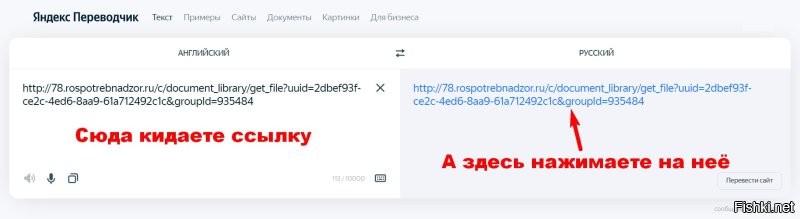 Попробуйте открыть ссылку через Яндекс-переводчик. У меня открылась.