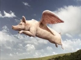 У хрюшки по любому крылья больше.