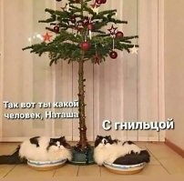 Владельцы кота нашли способ защитить наряженную елку