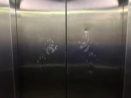 Ага. А перед тем как застряли белили потолок судя по всему