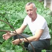 Что же они сразу с таких советов начали, надо сначала с простеньких! Инет врать не будет!))))