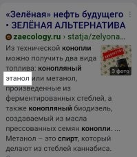 Российские учёные предложили высаживать техническую коноплю для очистки воздуха