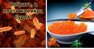 Икорный скандал: Роскачество проверило рынок морепродуктов и нашло кишечную палочку и фальсификат