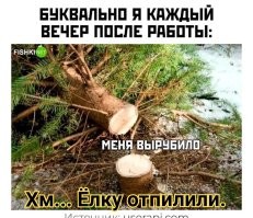 Мемы из соцсетей. Свежак за 20 декабря