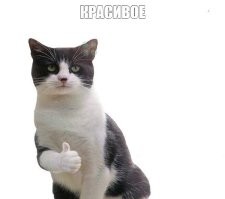 17 фотографий, которые показывают, что происходит с забытыми вещами