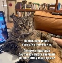 Мемы из соцсетей. Свежак за 21 декабря