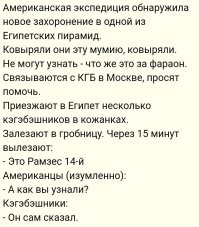Редчайшее в мире существо, которое третий раз встретилось в океане