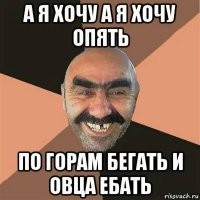 В Германии для беженцев организовали курсы "секс-просвета"