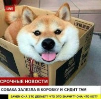 Новости которые мы заслужили