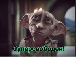 Мемы из соцсетей. Свежак за 23 декабря