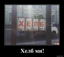 Смешные картинки с комментариями из социальных сетей