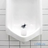30.
В писуаре нарисована муха.