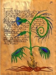 Интересно,но ничего загадочного. Странно, что не упомянули манускрипт Войнича,который до сих пор не могут расшифровать,несмотря на огромный обьем текста.