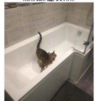 Может вы и правы. 

Скорее всего, там "отделение" для приема душа. :) 

Но ванна, всё равно, узкая.