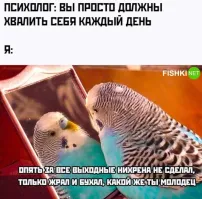 Смысл тот же, а отношение от правильной подачи совершенно другое.