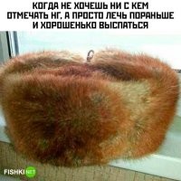 А не получится, хлопушки\салюты до утра долбить будут!!!! (Шапка не спасет)