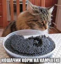 Осторожно: икра