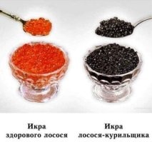 Осторожно: икра