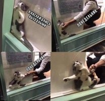 Для тех, кто так же ненавидит будни, как и я