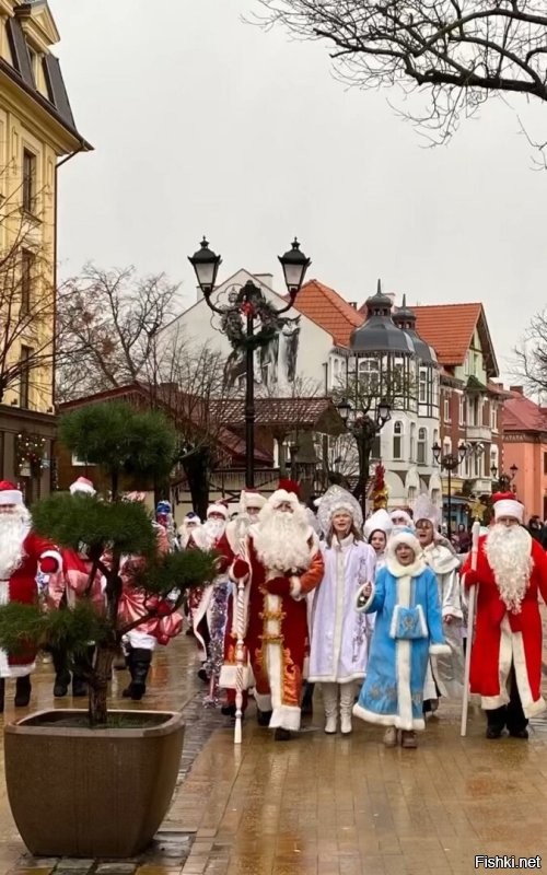 А у нас вот так веселят. Первый скрин из нашей городской группы, остальные просто фото огорода.