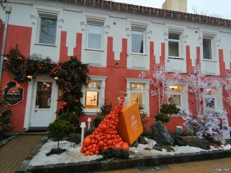 А у нас вот так веселят. Первый скрин из нашей городской группы, остальные просто фото огорода.