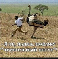 17 отличных кадров, которые были сделаны в идеальный момент